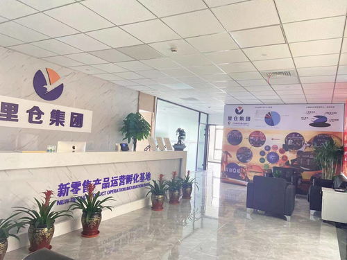 一站式投服行業(yè)服務 上海里倉科技集團的信息技術咨詢服務解析